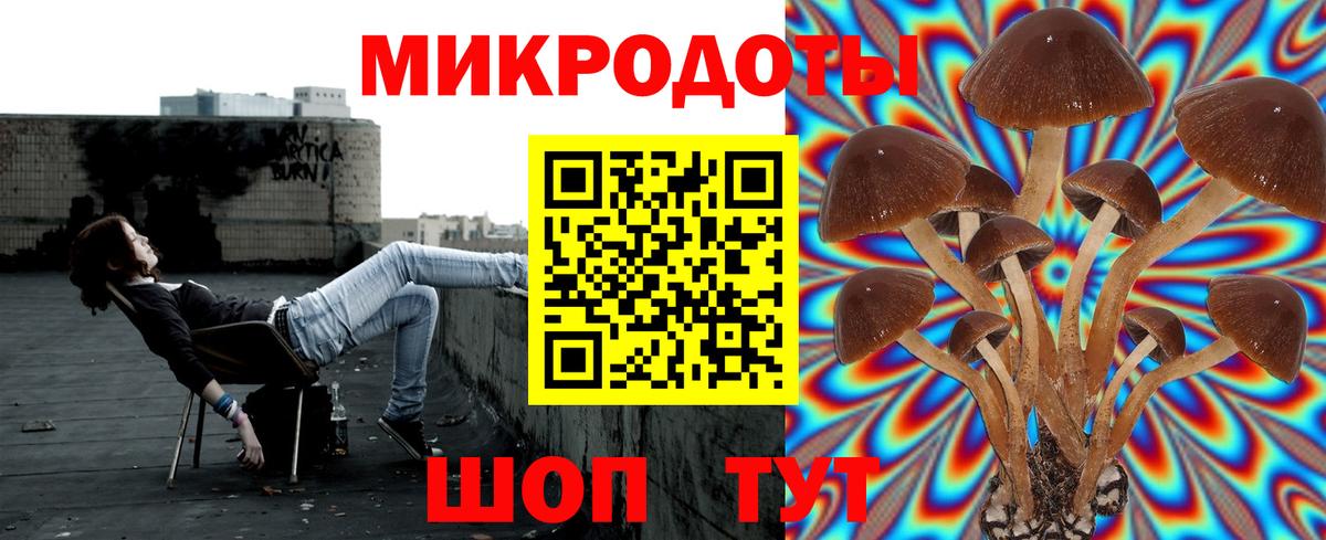 Псилоцибиновые грибы прущие грибы  Вход с VPN  где купить   Черногорск 